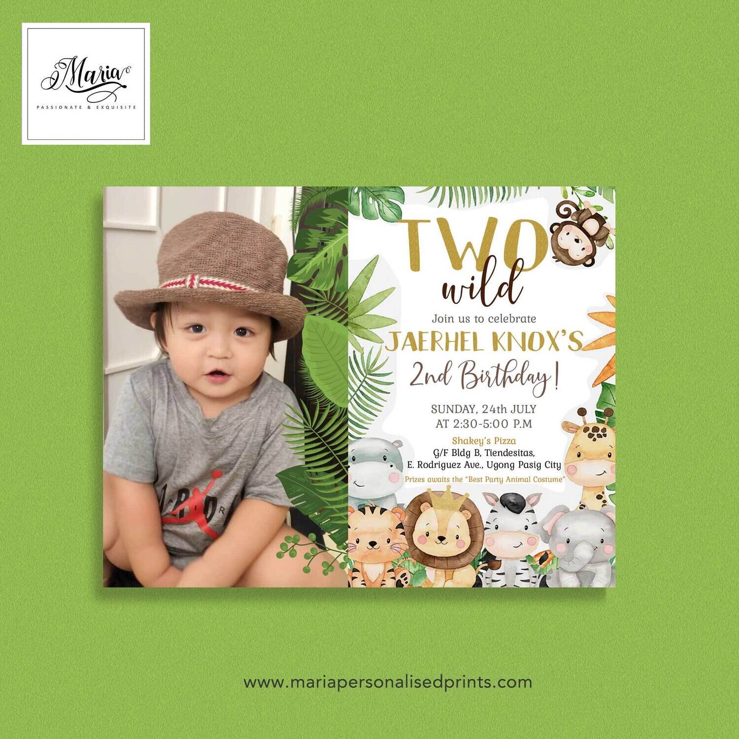 Safari Birthday Invitation Set of 14