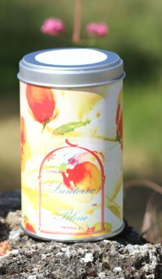 Flora, boite à thé métal illustrée aquarelle florale