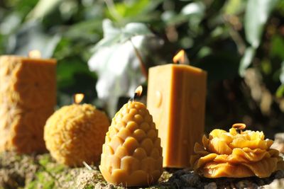 L'abeille qui veille