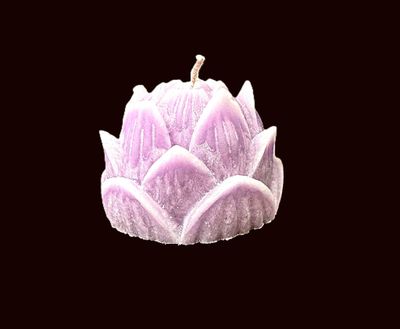 Lotus rose