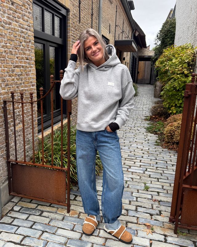 BASIK HOODIE grey