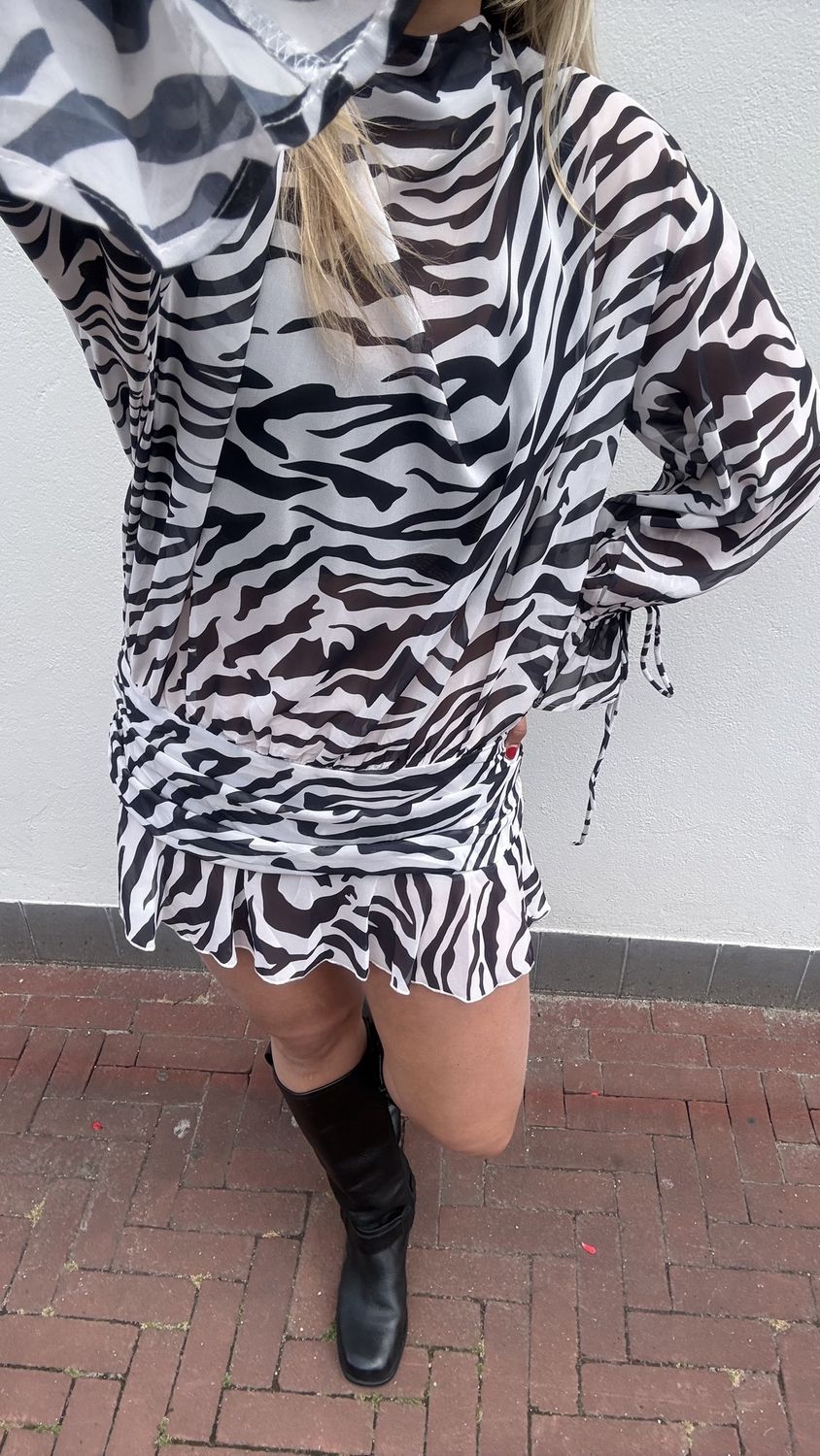 Lizzy dress zebra