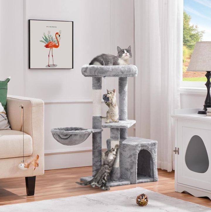 Rascador gris gato