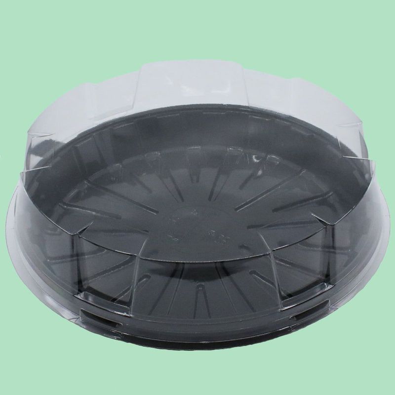 Clear Dome Lid 180mm Ø x 40mm Deep