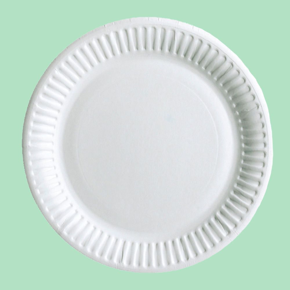 9" White Paper Plate