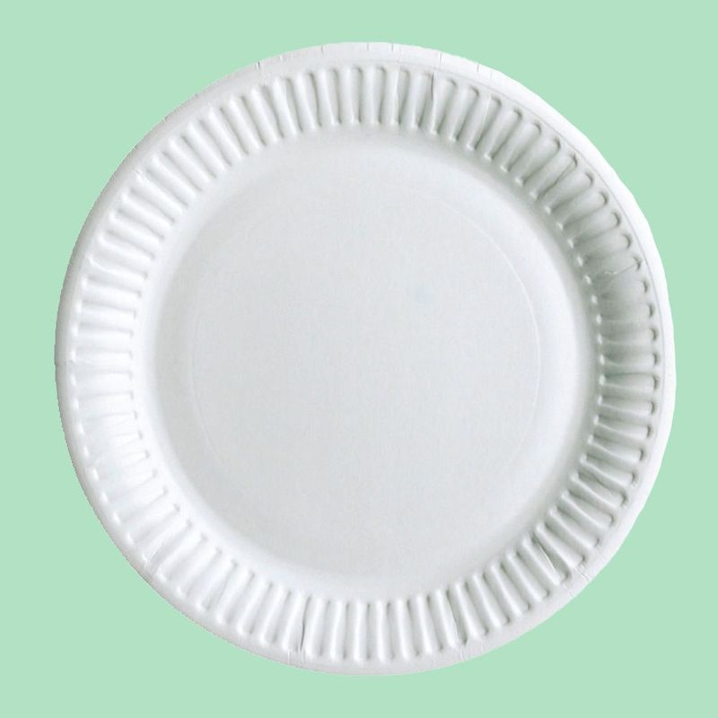 9" White Paper Plate