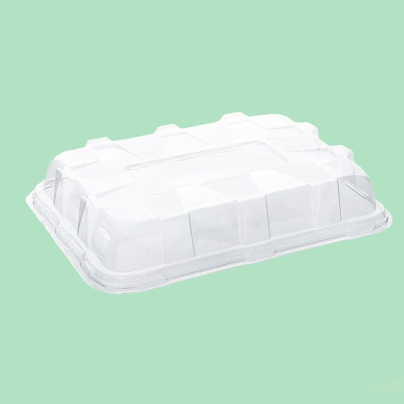 Clear Dome Lid 55cm x 37cm