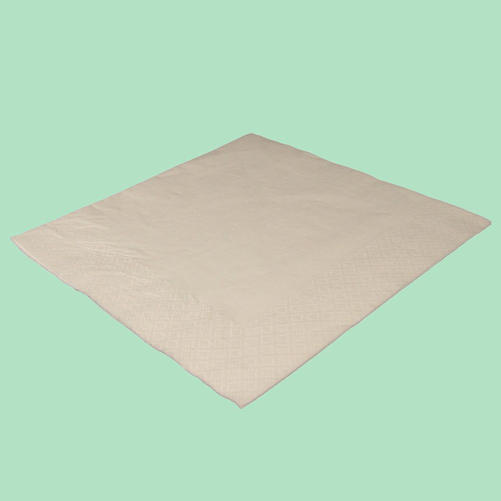White Napkins 2 Ply (33 x 33cm)
