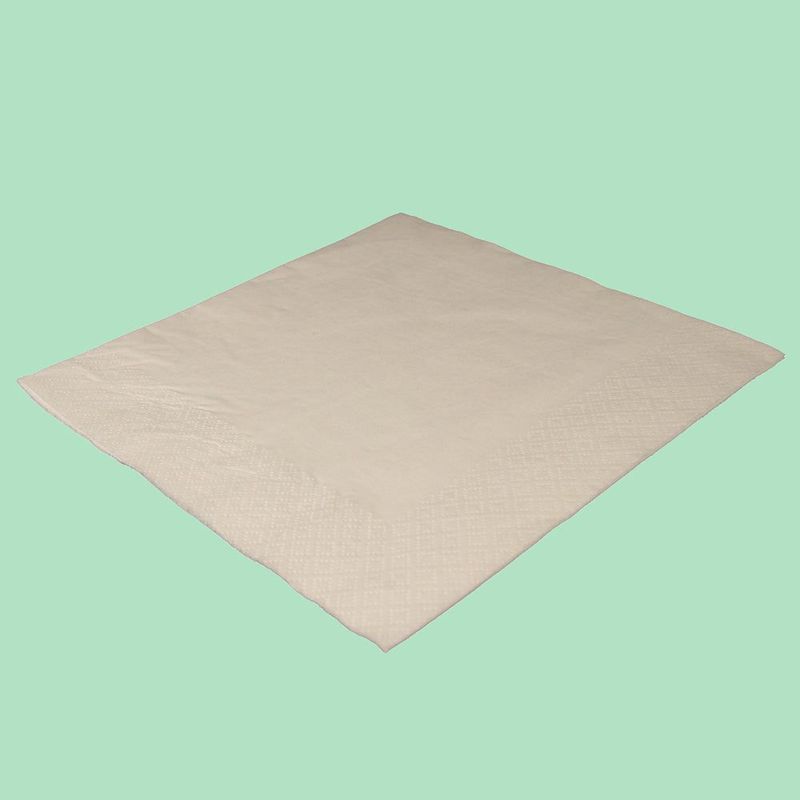 White Napkins 2 Ply (33 x 33cm)