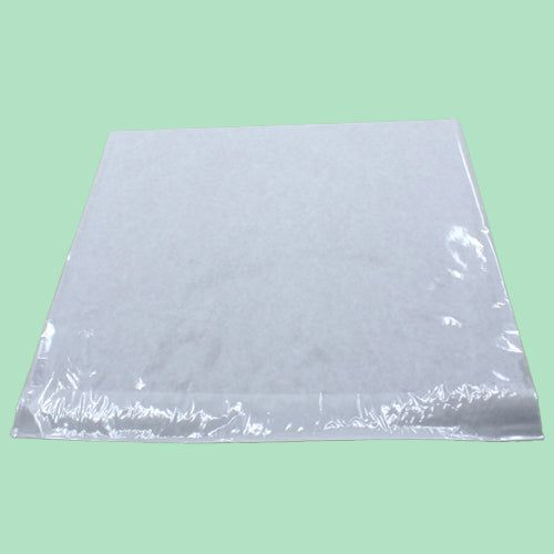10" x 10" Film Front Paper Bag
