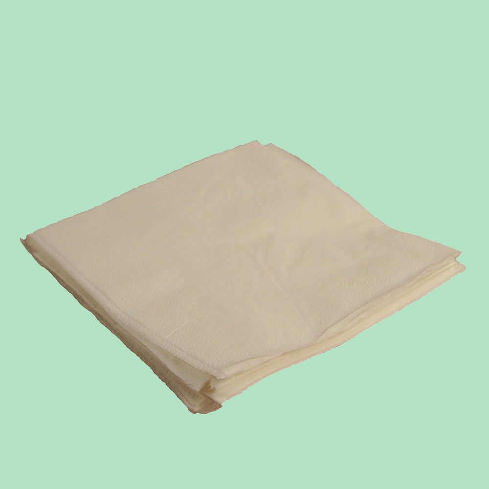 White Napkin 2 ply (24 x 24cm)