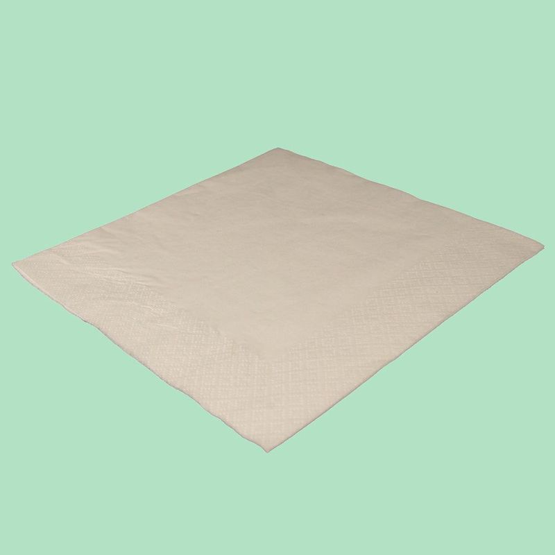 White Napkins 2 Ply (40 x 40cm)