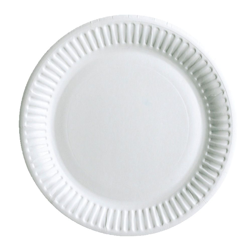 9" White Paper Plate