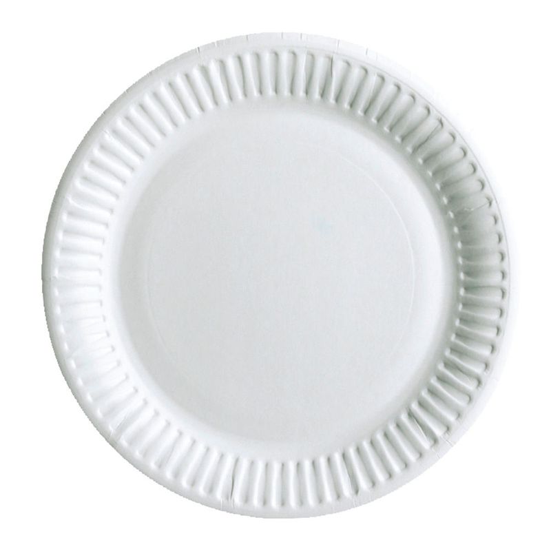 9" White Paper Plate