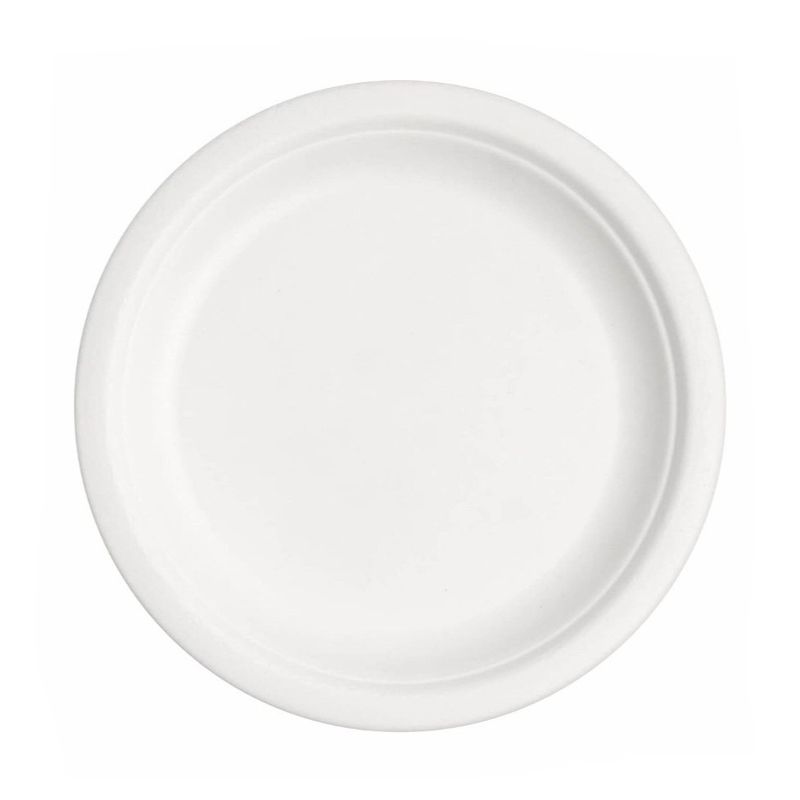10" Round Bagasse Plate