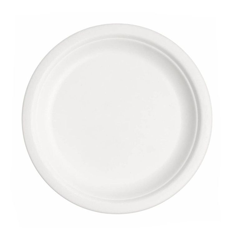 9" Round Bagasse Plate
