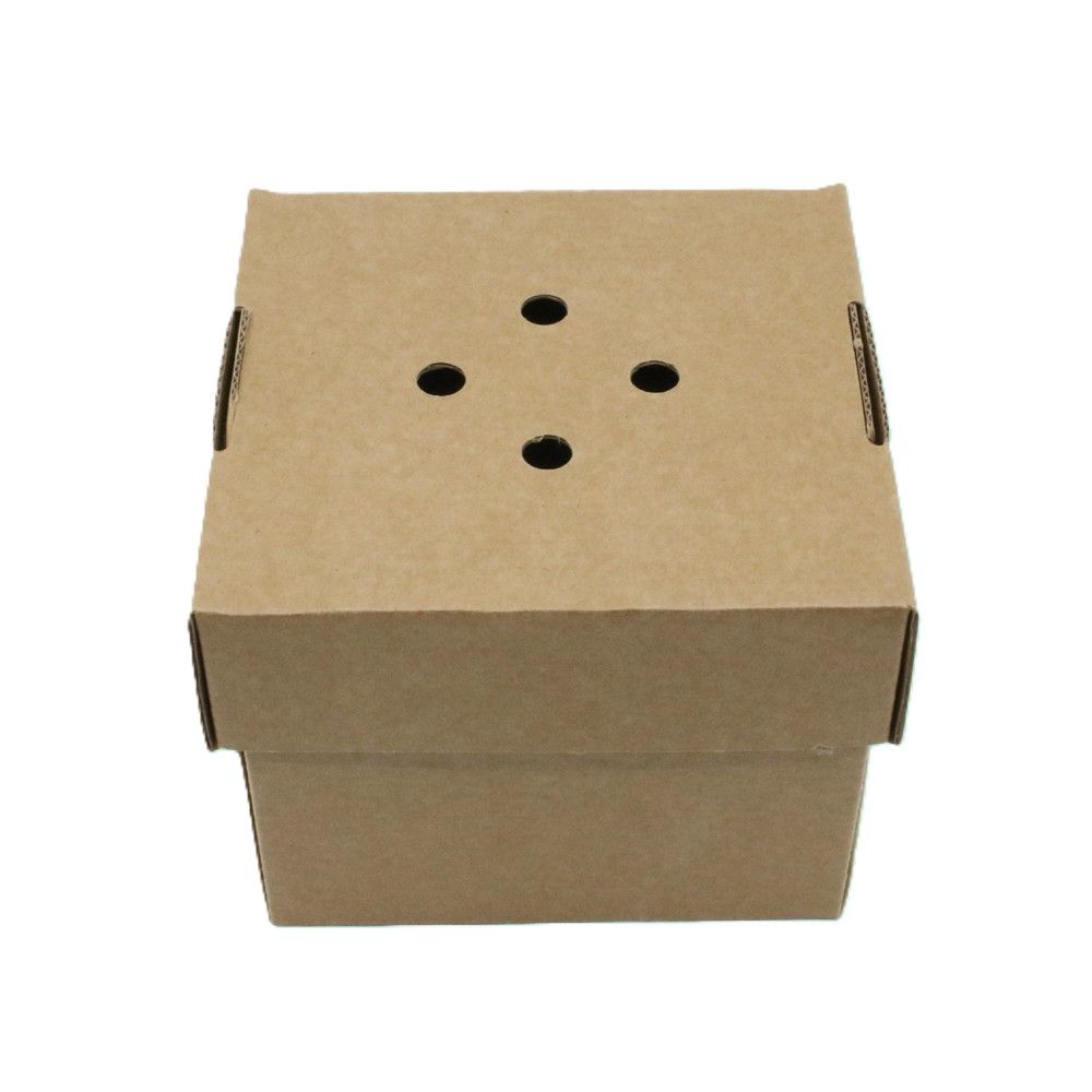 Premium Burger Box