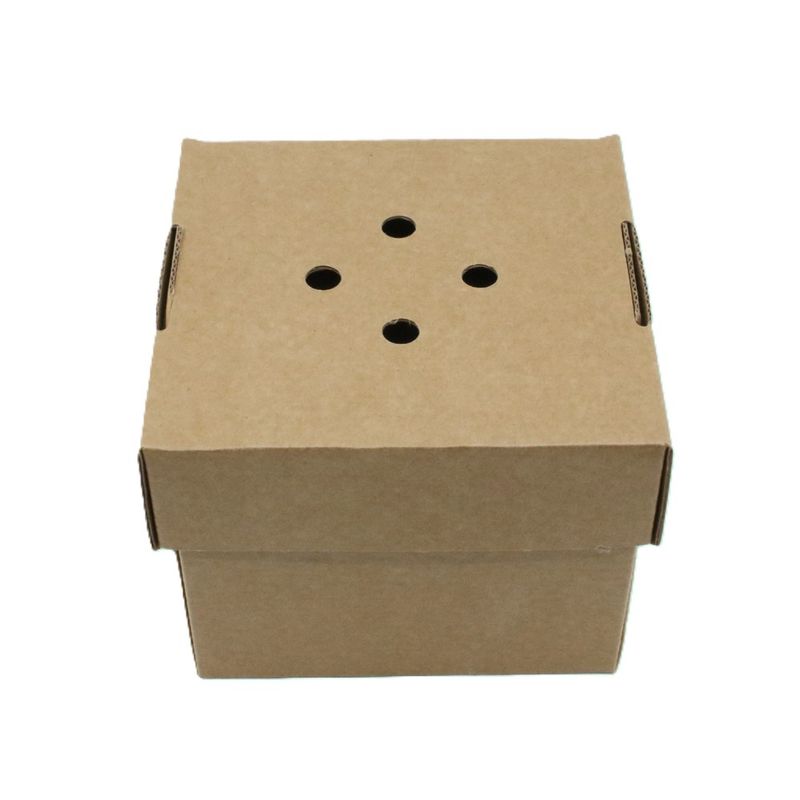 Premium Burger Box