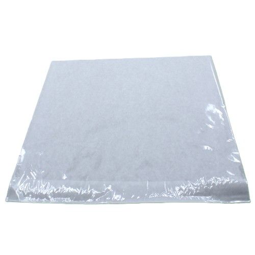 10" x 10" Film Front Paper Bag