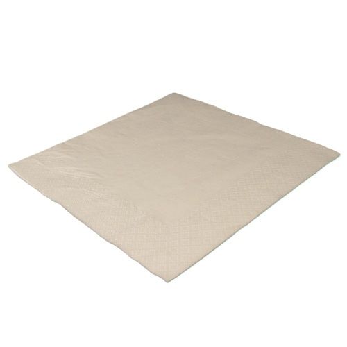 White Napkins 2 Ply (33 x 33cm)