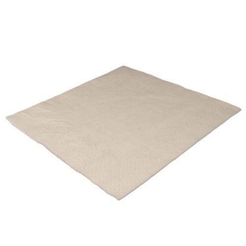 White Napkins 2 Ply (40 x 40cm)