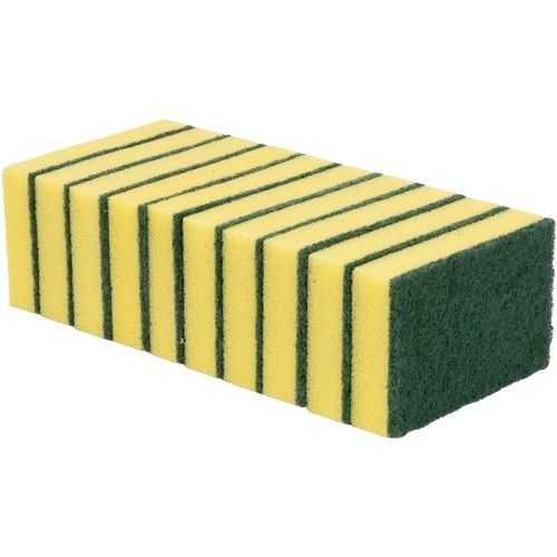 Sponge Backed Scourers