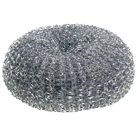 Stainless Steel Scourers