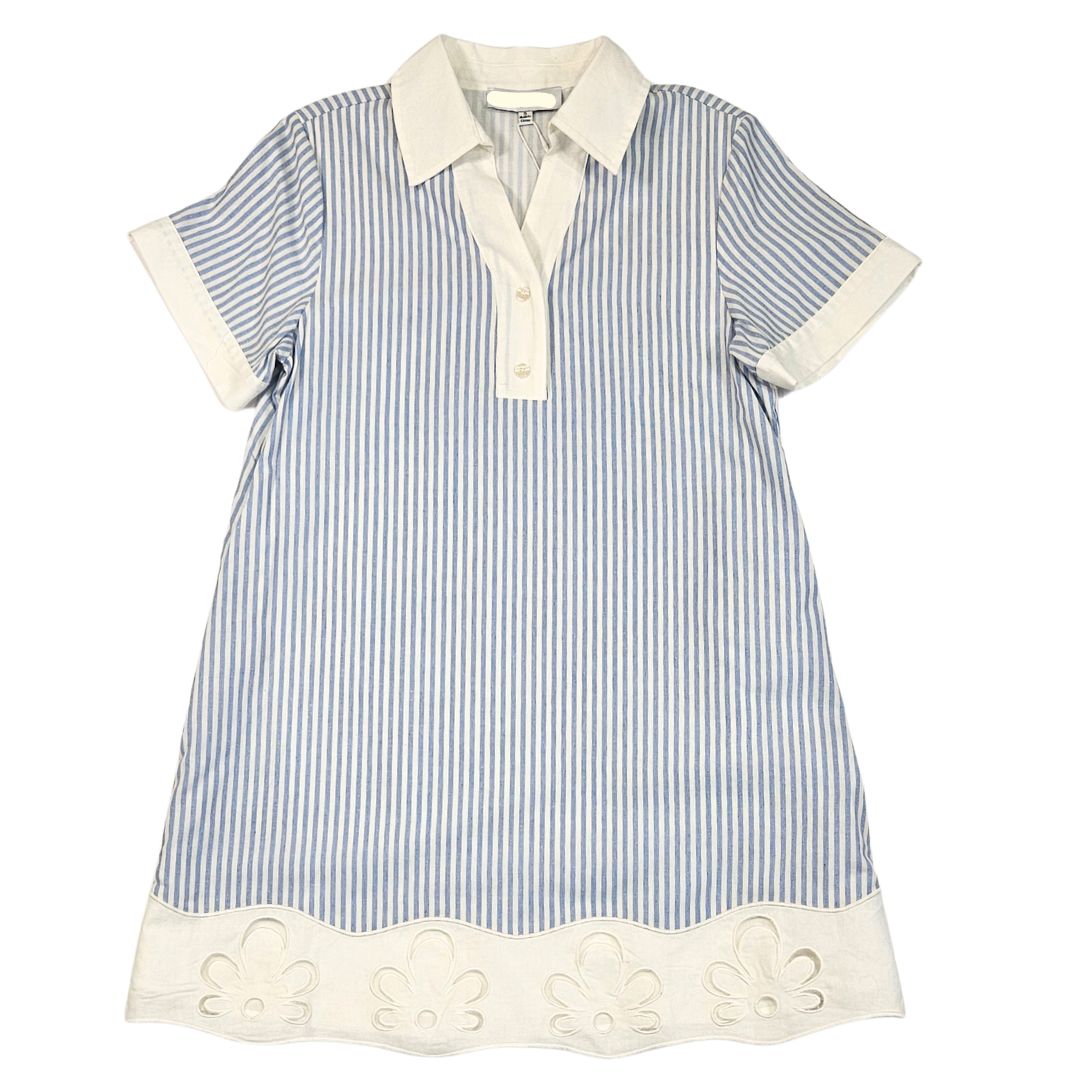 Embroidered Stripe Shirt Mini Dress