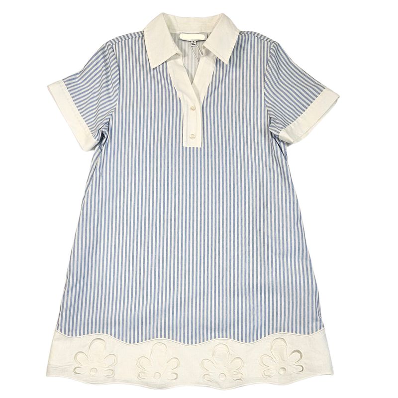 Embroidered Stripe Shirt Mini Dress