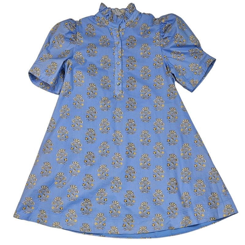 Ruffle Neck Floral Mini Dress