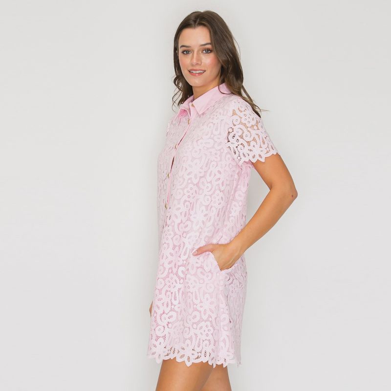 Blush Romance Lace Shirt Dress