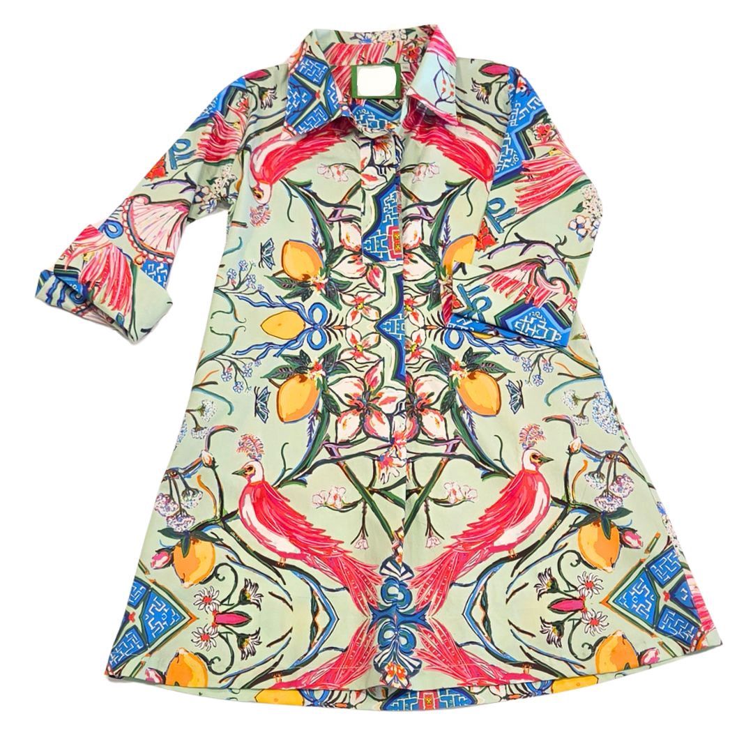 Mint Chinois Shirt Dress Short