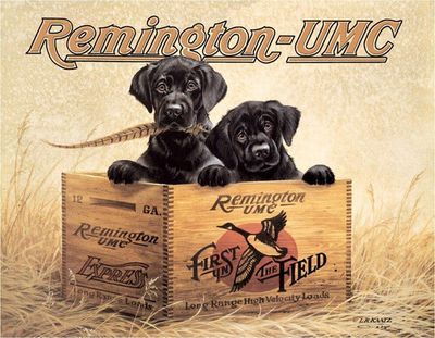 # 210 - REM - Finder&#39;s Keepers 16in x 12.5in