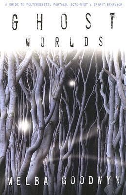 Ghost Worlds Guide to Poltergeists Porta