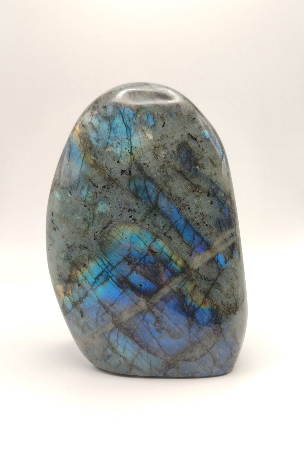 Labradorite - Freeform - Lot 1125-LABR-8
