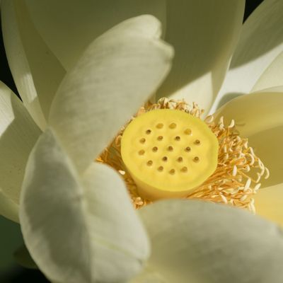 General Spirituality