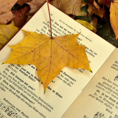 Music &amp; Sound Healing