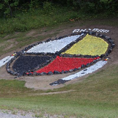 Native Influence &amp; Shamanism