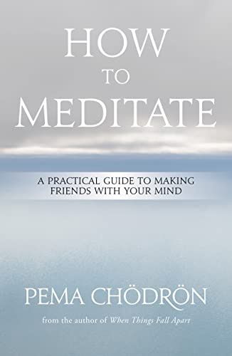 How to Meditate: A Practical Guide to Making Friends with Your Mind