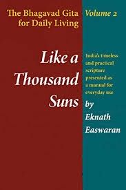 Like a Thousand Suns: The Bhagavad Gita for Daily Living, Volume 2