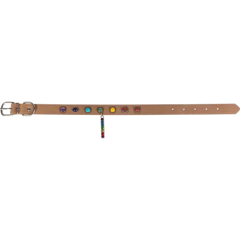 Vegan Leather Dog Collar - Chakras (Large)