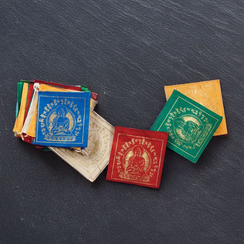 Paper Prayer Flag - 8' Medicine Buddha