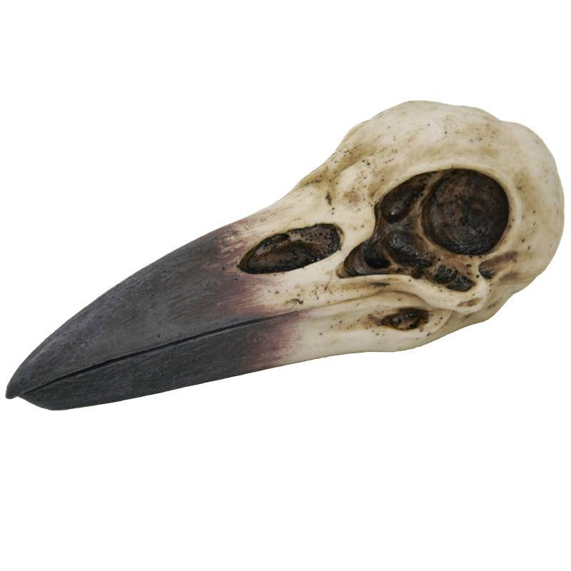 Raven Skull Box