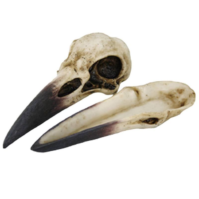 Raven Skull Box