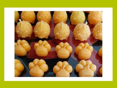 Tierische Kerzenwelt