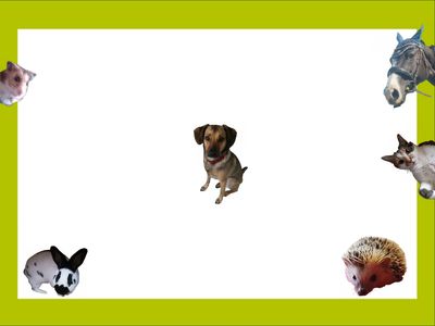 Für fellige Freunde