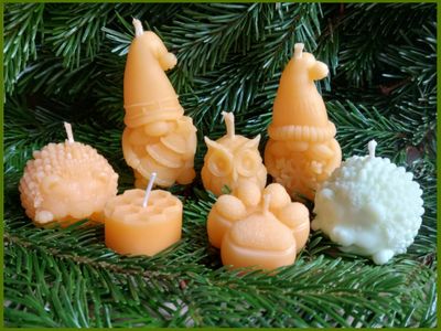 Tierische Kerzenwelt