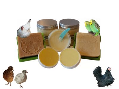 -> Für Geflügel