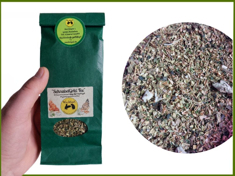 Wachtigel "SchnabelGold Tee"