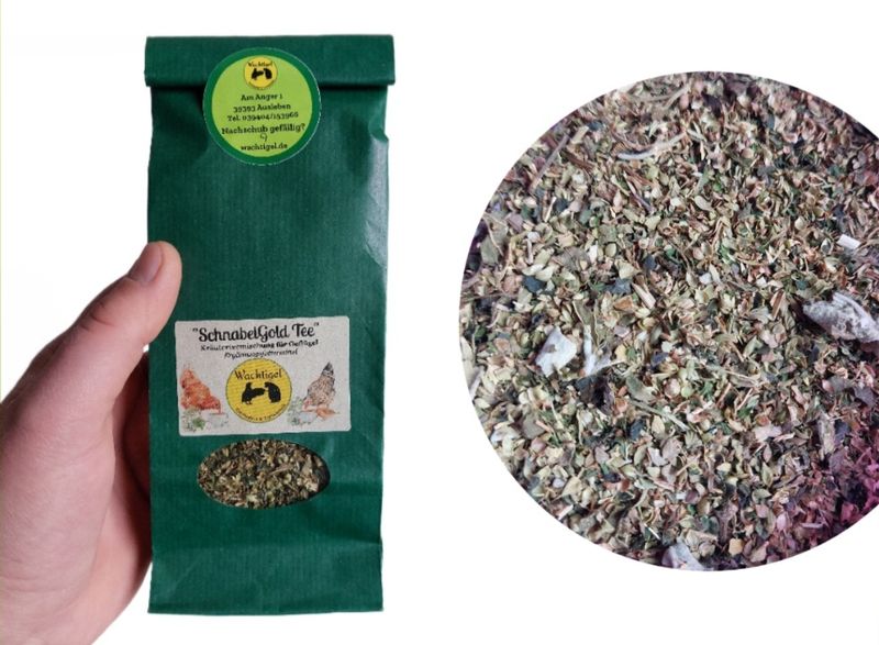 Wachtigel "SchnabelGold Tee"